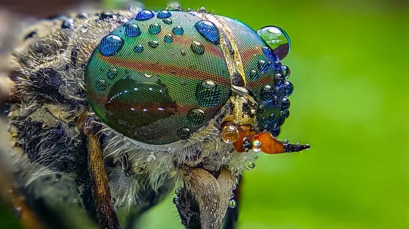 Летать фото превью