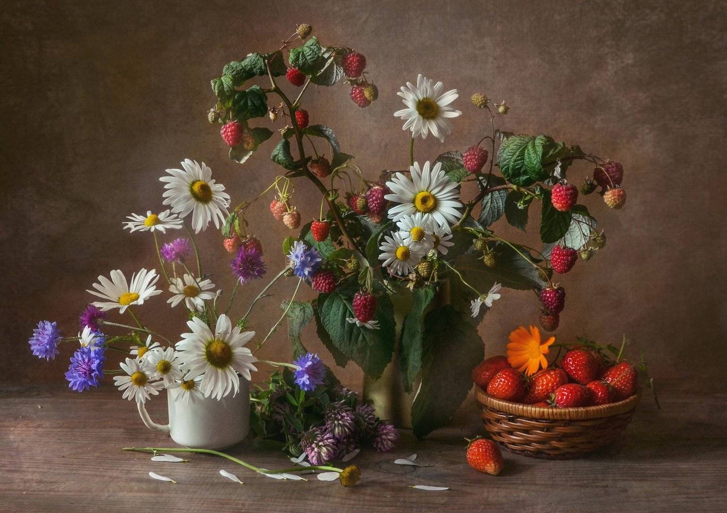 , Соловьёва Анастасия