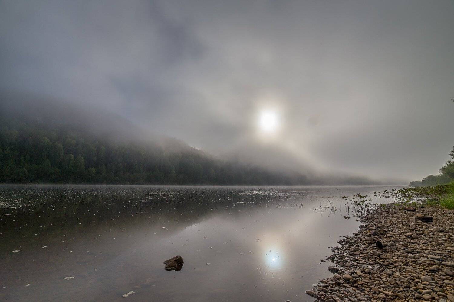 туман, река, лето, Савицкий Ян