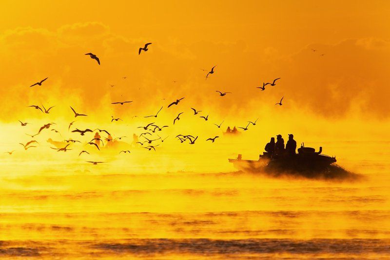 kangyang , korea Fisherman фото превью