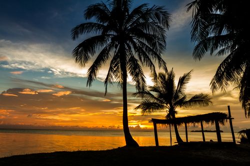 Golden tropical sunset 