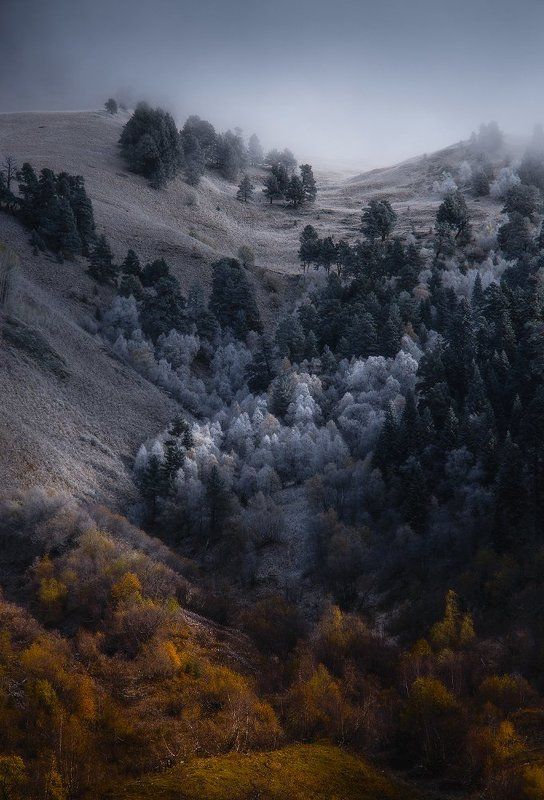 архыз, кавказ, горы, осень, зима Осенне-зимний градиент фото превью