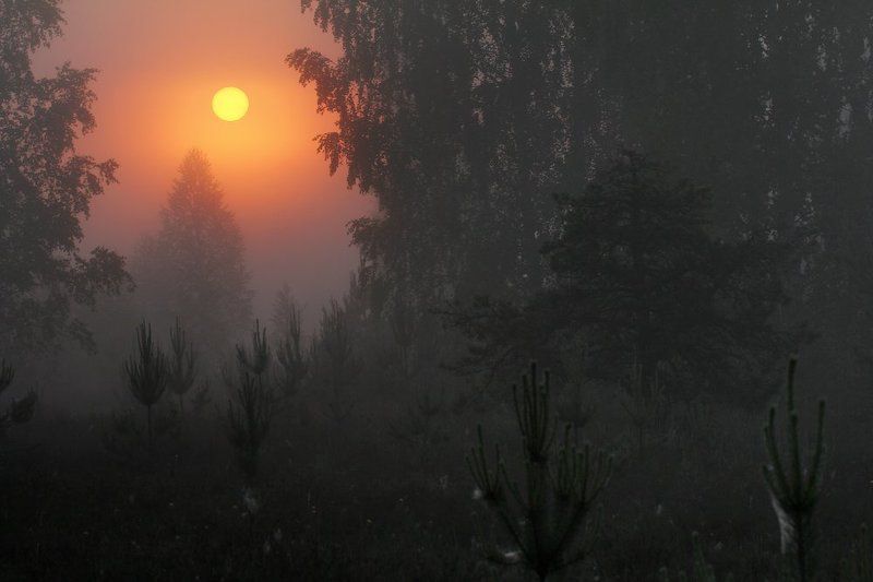 рассвет Загадочное утро фото превью