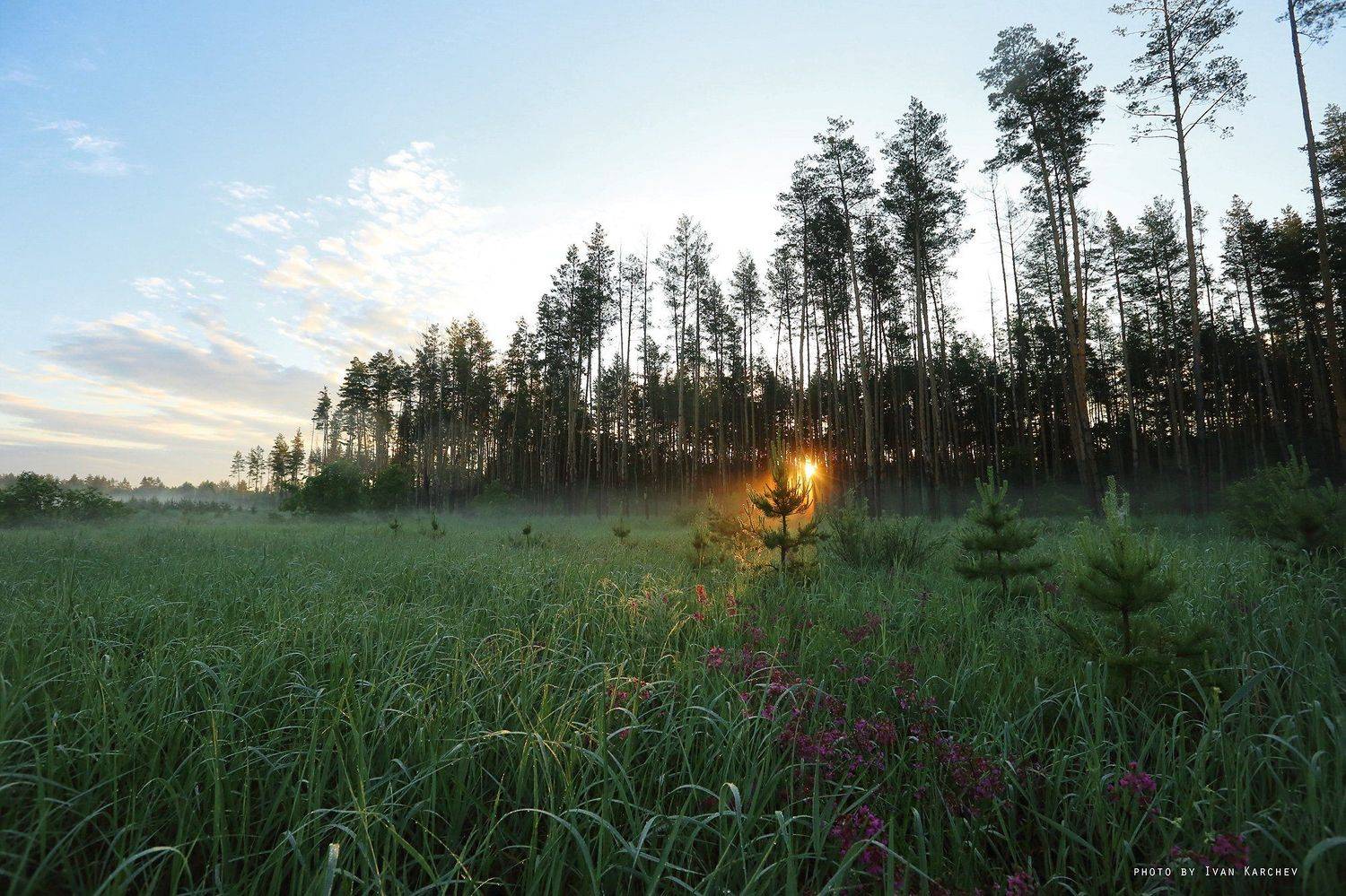 , Иван Карчев