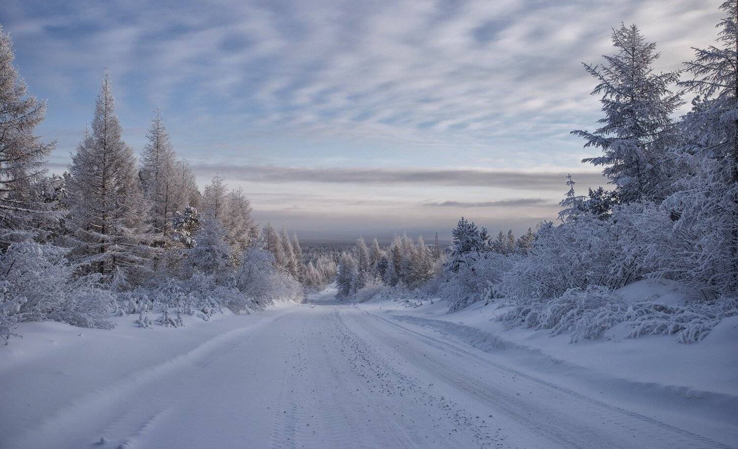 зима, декабрь, якутия, нерюнгри, Евгения Левина