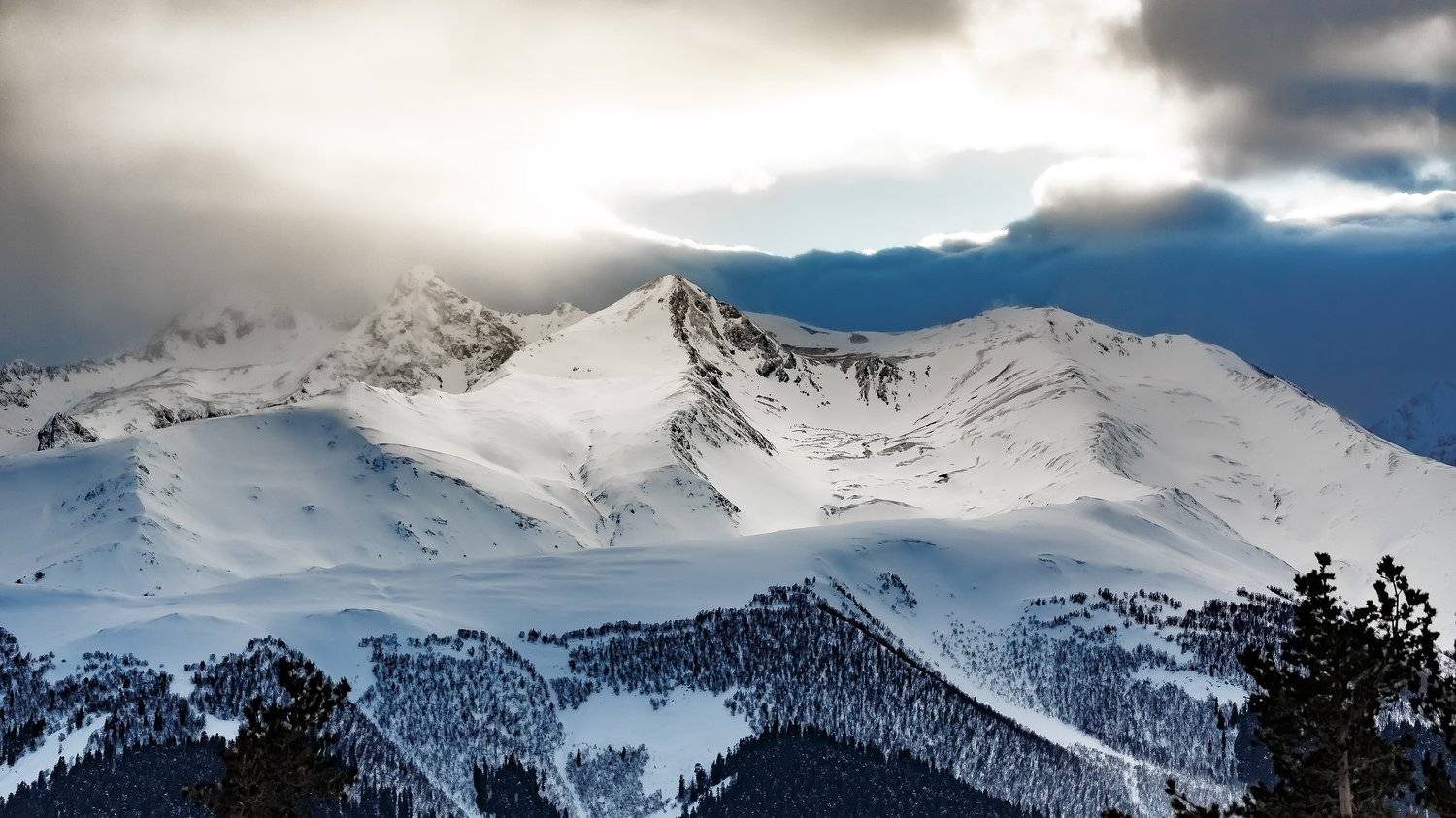 , Артем Медведев