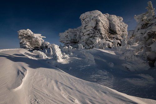 Pro зимнее царство