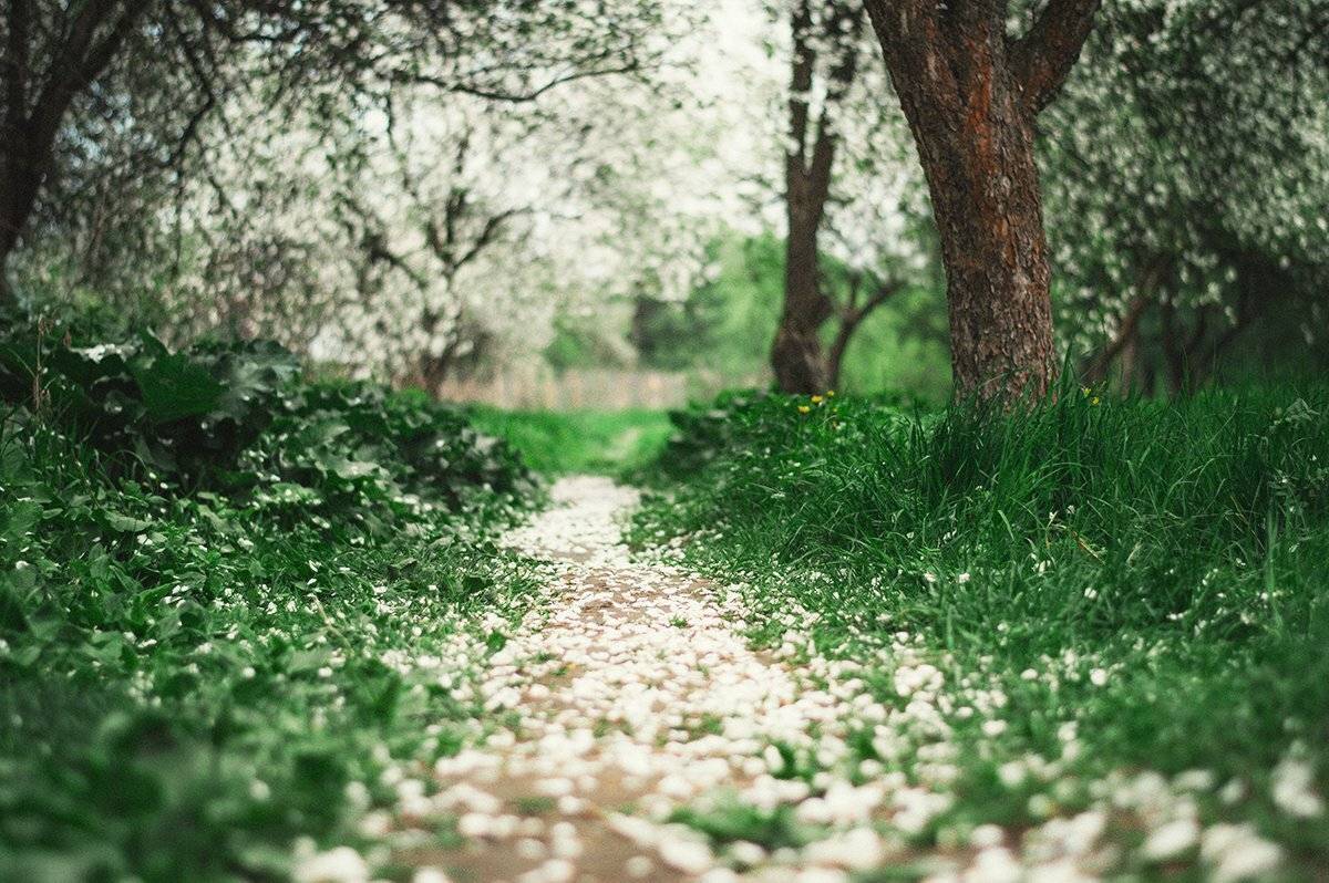 , Чернякова Анна