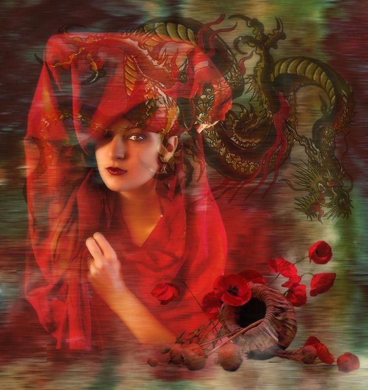 девушка в красном,маки,дракон Temptation фото превью