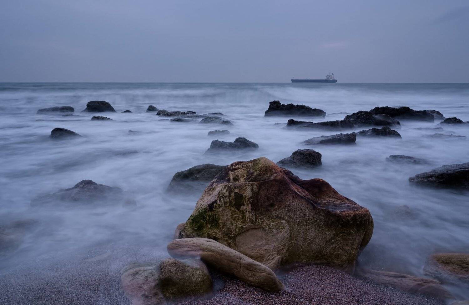 , Мартин Костадинов