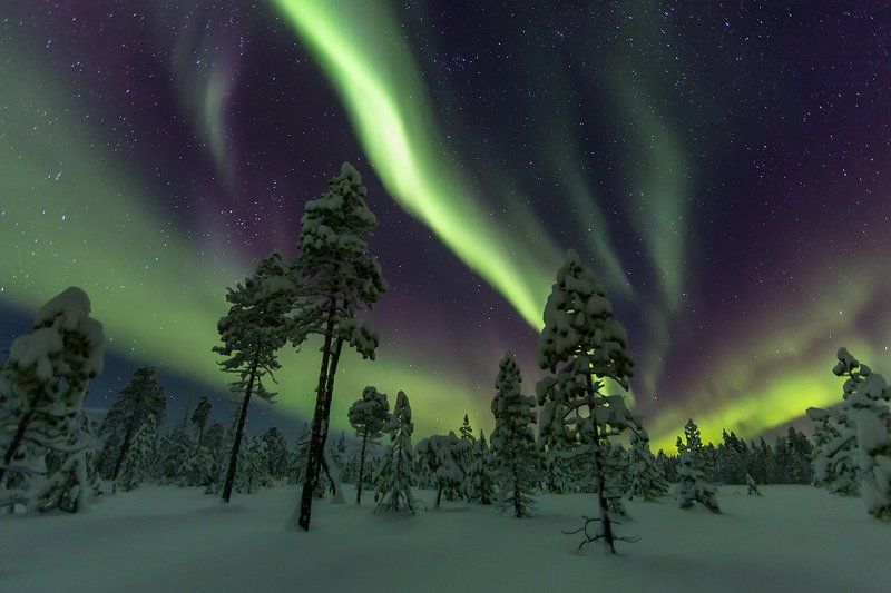 пейзаж, природа, кольский п-ов, полярное сияние *** фото превью