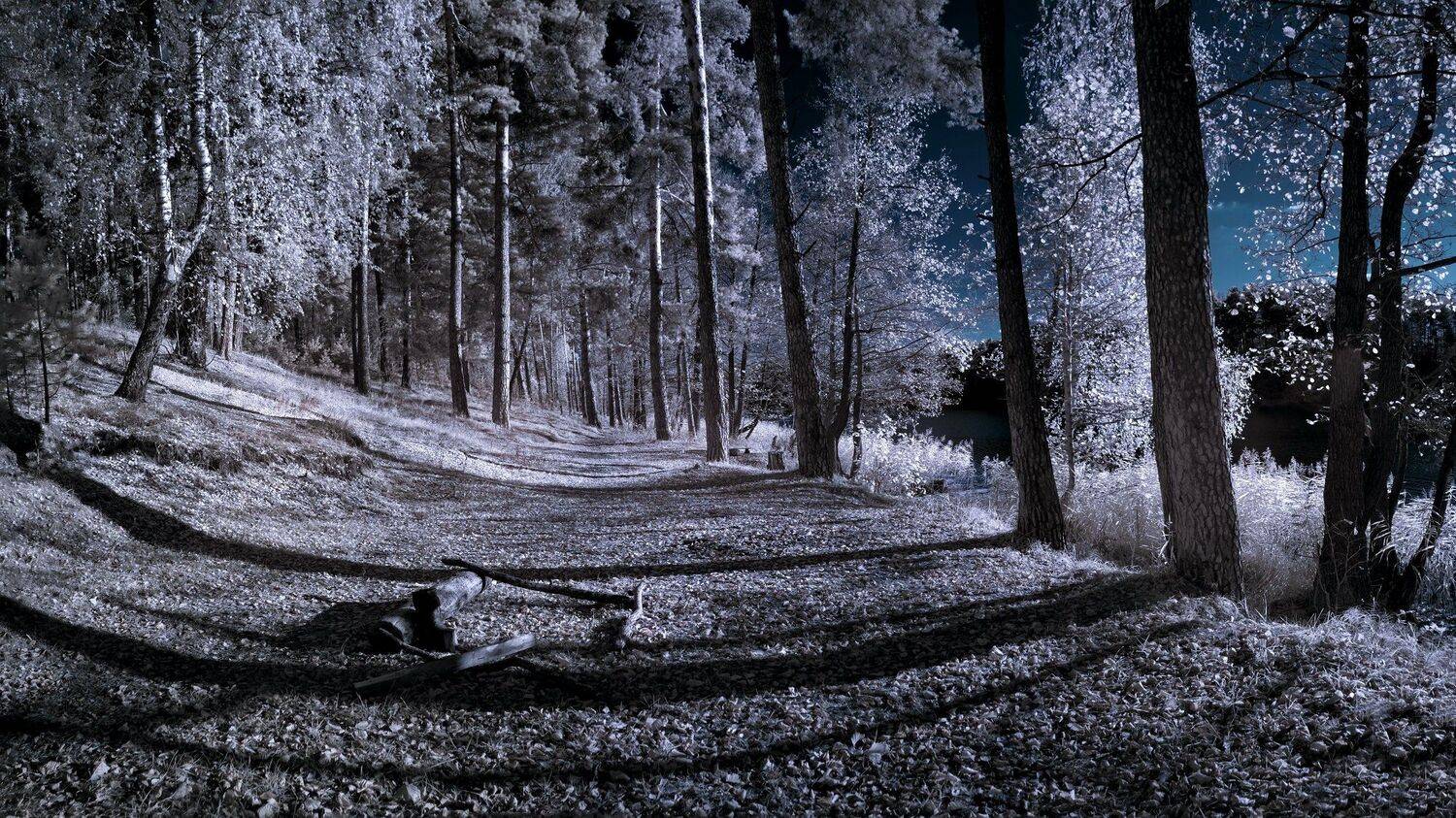 infrared,ик-фото,инфракрасное фото,инфракрасная фотография,пейзаж,природа,беларусь,осень, Sixten ( Сергей )