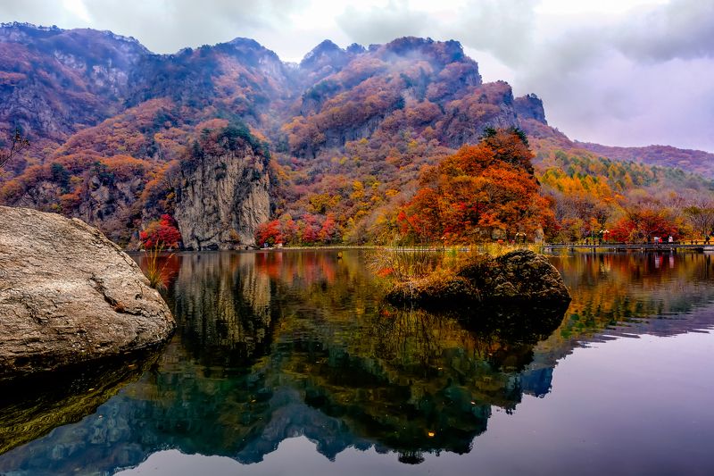 Autumn in Manczuria, China autumn, Маньчжурия, Осень Осень в Маньчжурии. фото превью
