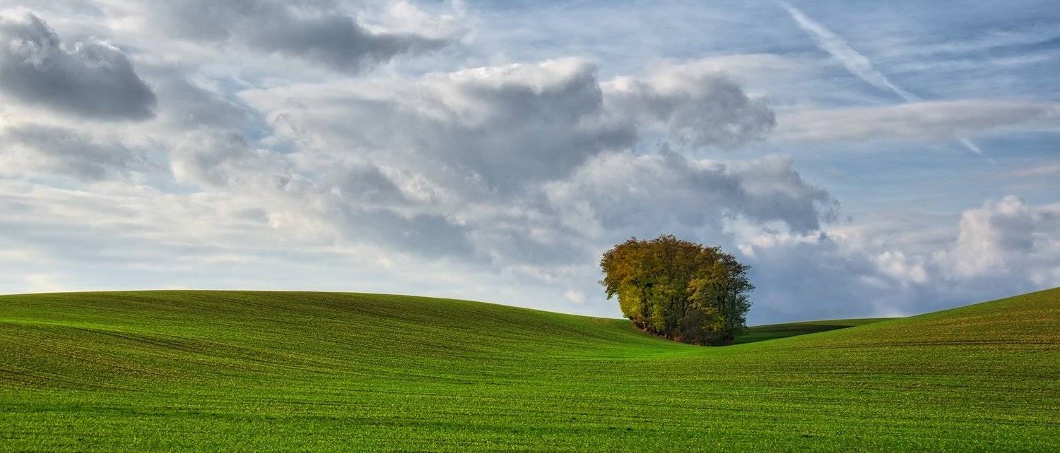 , Эдуард Горобец