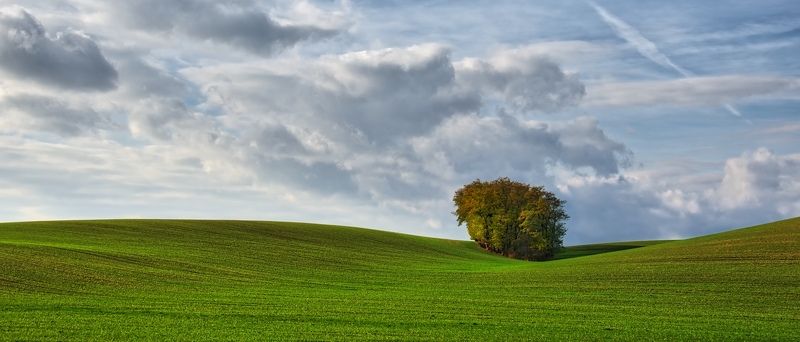 Lost 2 фото превью