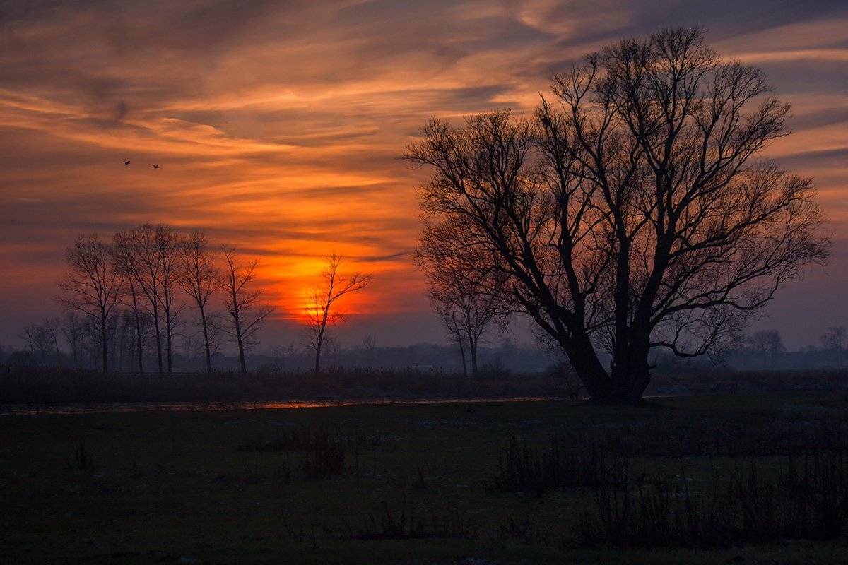 , Pawel Plucinski