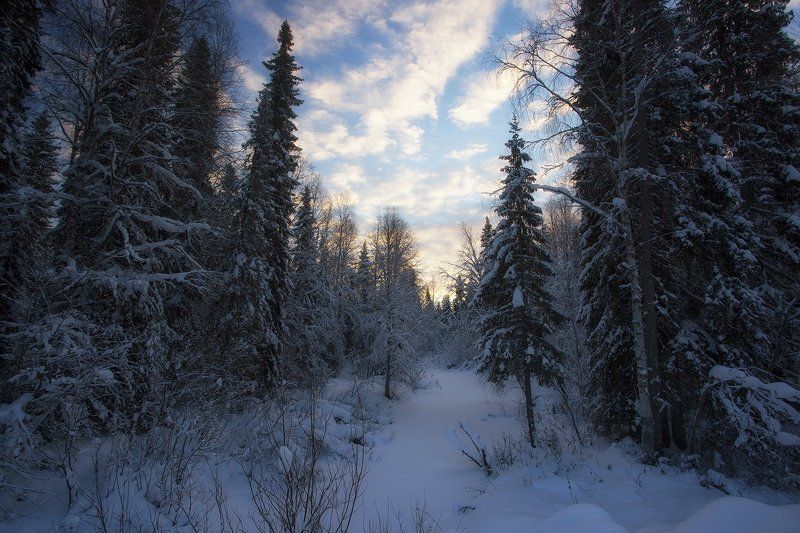 ****** фото превью