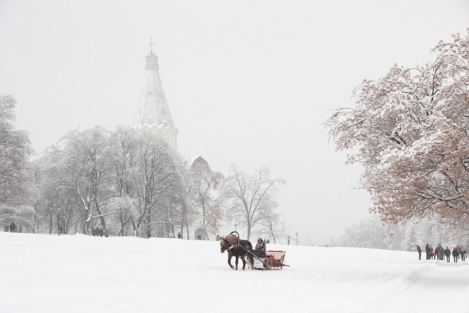 , Коробейников Дмитрий