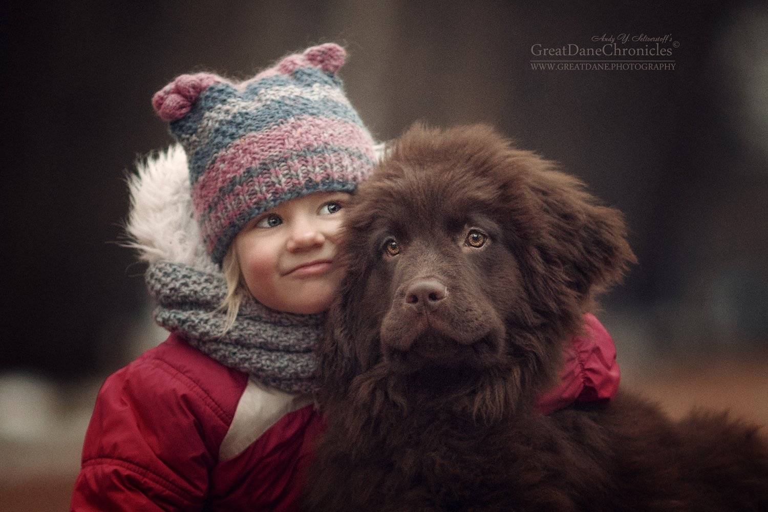 ньюфаундленд, щенок, ребенок, Андрей Селиверстов