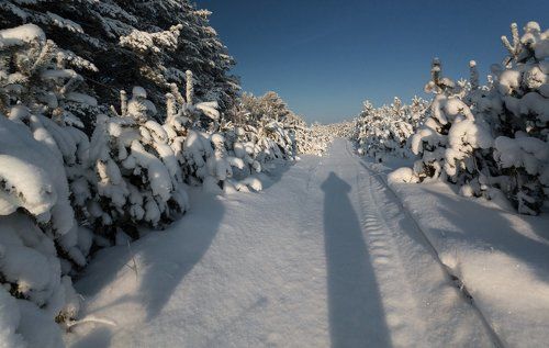 По морозной стрелке