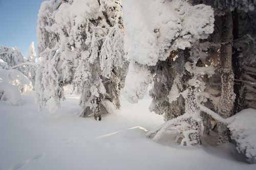 Замело
