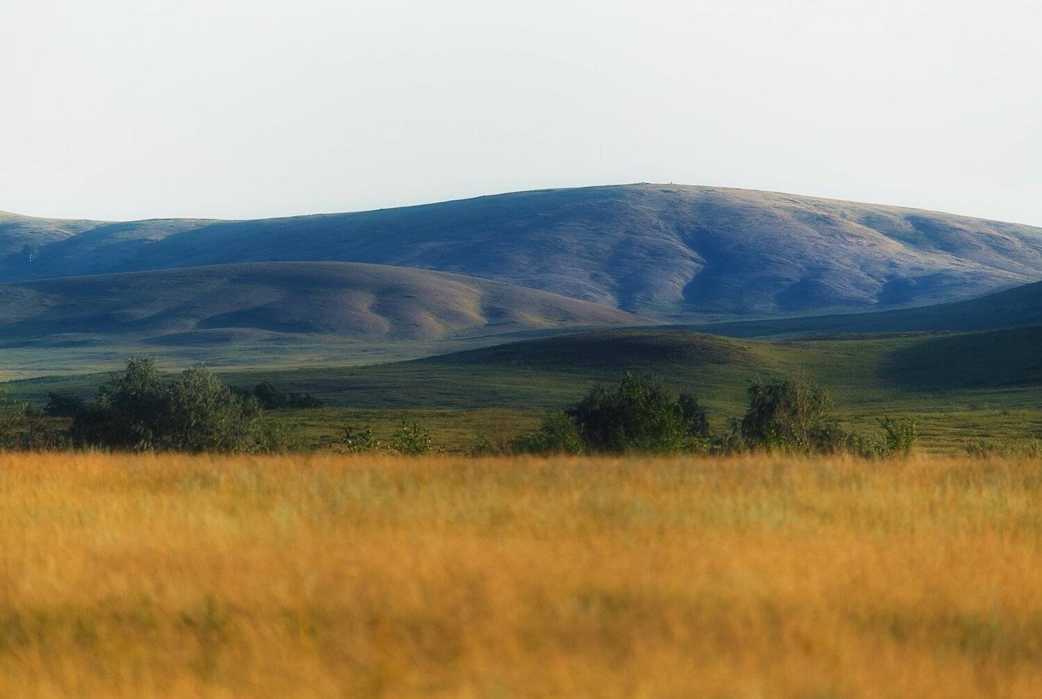 , Павел Сагайдак