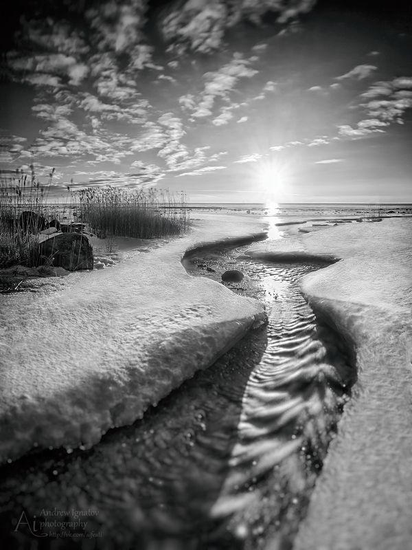 чудское B&W Lake Peipsi фото превью