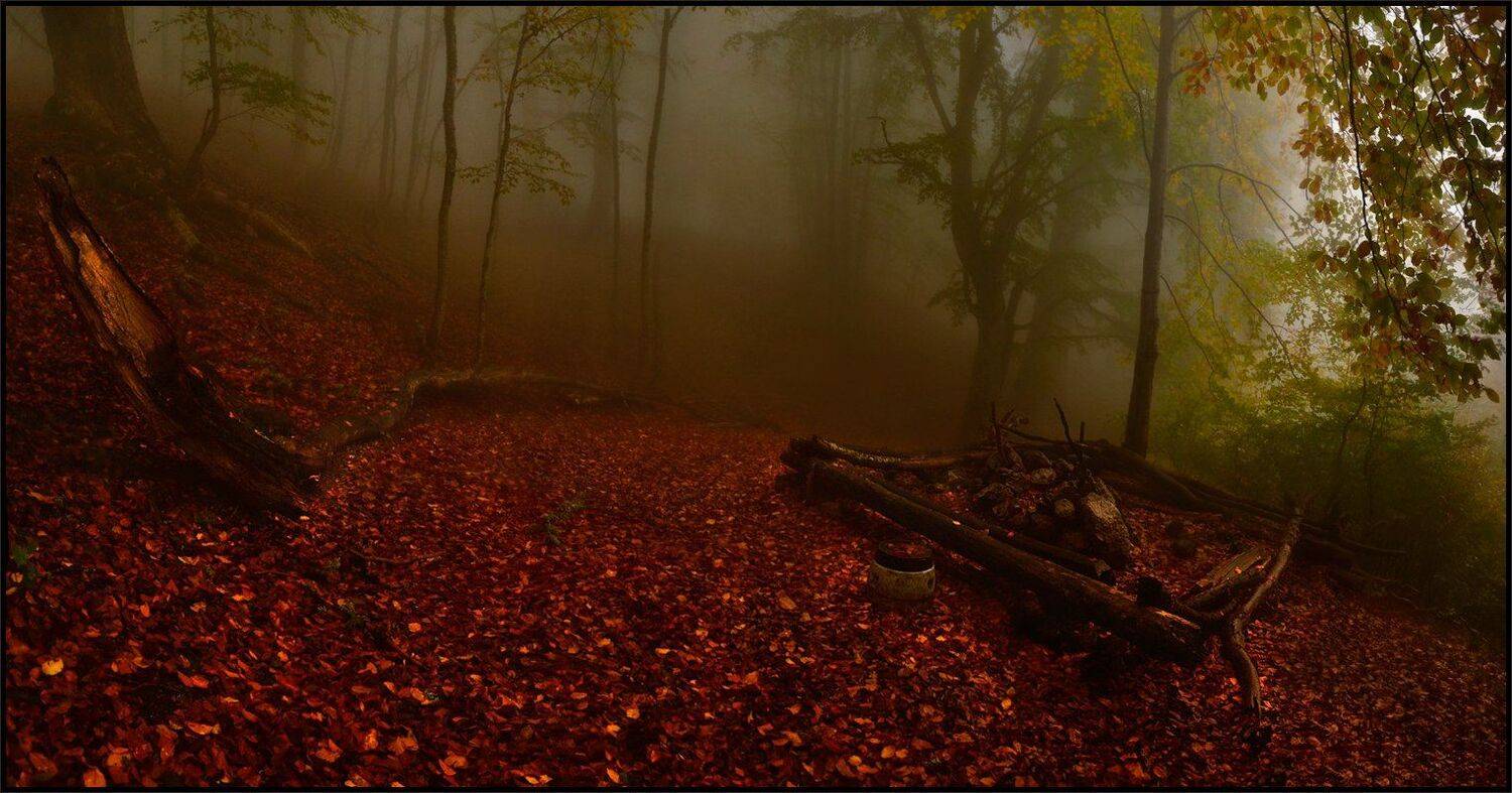 , Владимир Метцгер