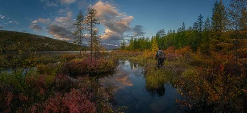 * * * фото превью