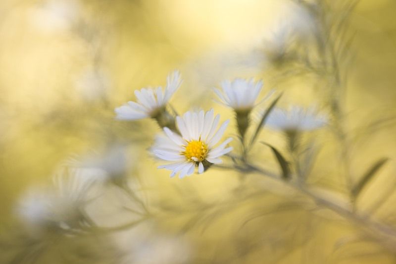 Чуточку лета фото превью