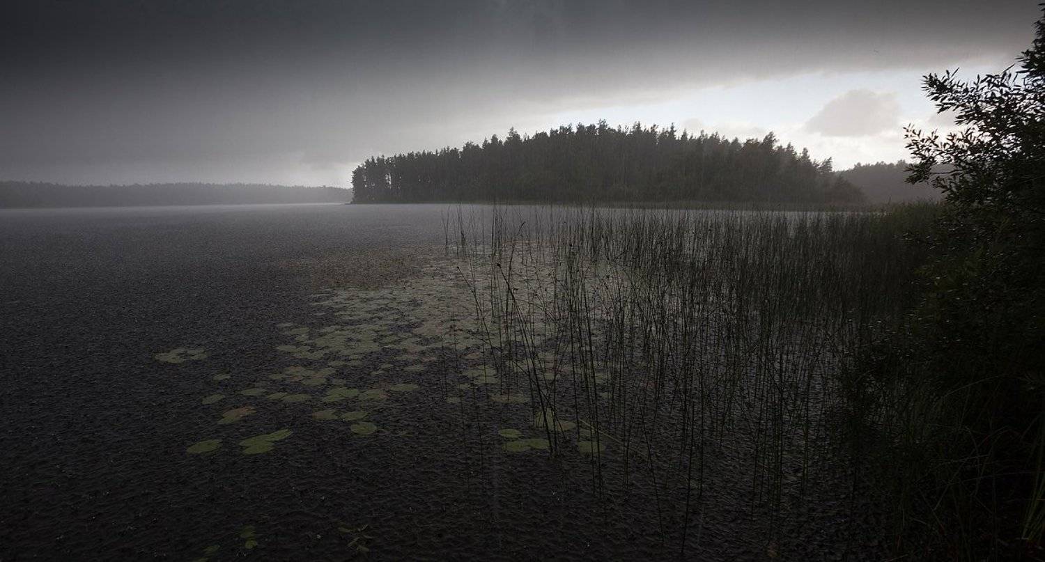 ливень, озеро, лето, свежесть, благодать, Копычко Михаил