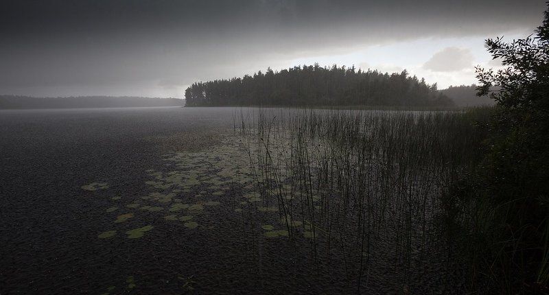ливень, озеро, лето, свежесть, благодать Свежесть фото превью