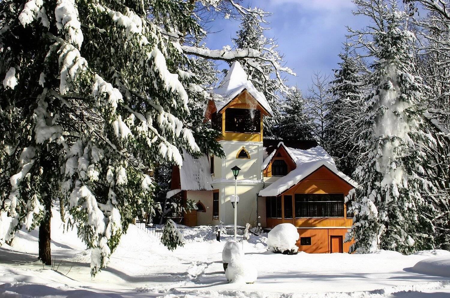 старая дача  зима, Евгений Никишин