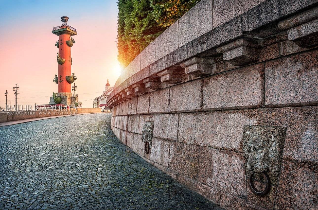 санкт-петебург, лев, ростральная колонна, вечер, стрелка, васильевский остров, Юлия Батурина