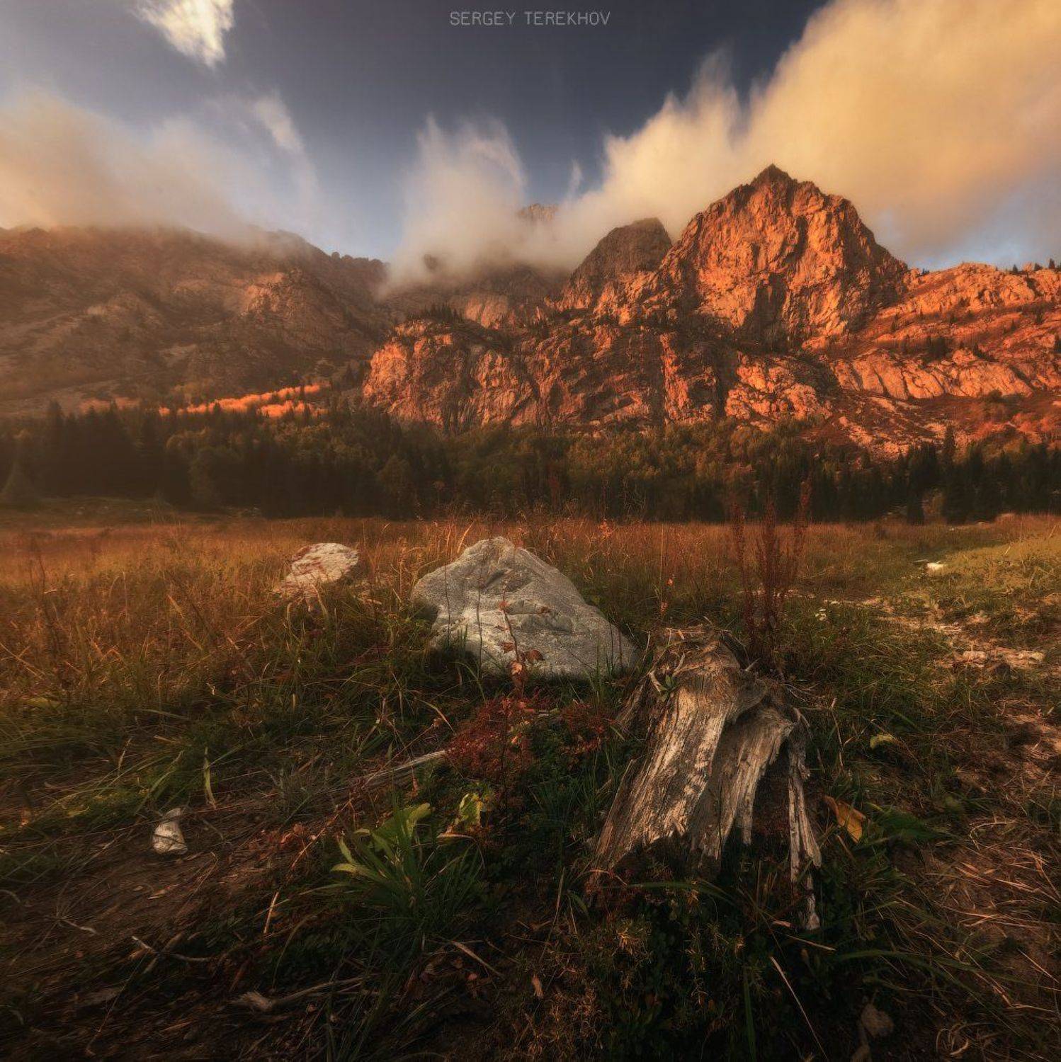 , Сергей Терехов