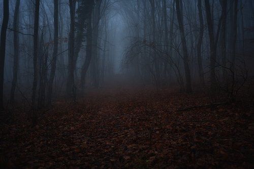 Аллея