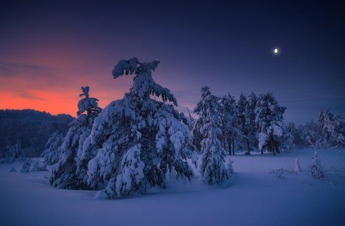 С Рождеством Христовым!