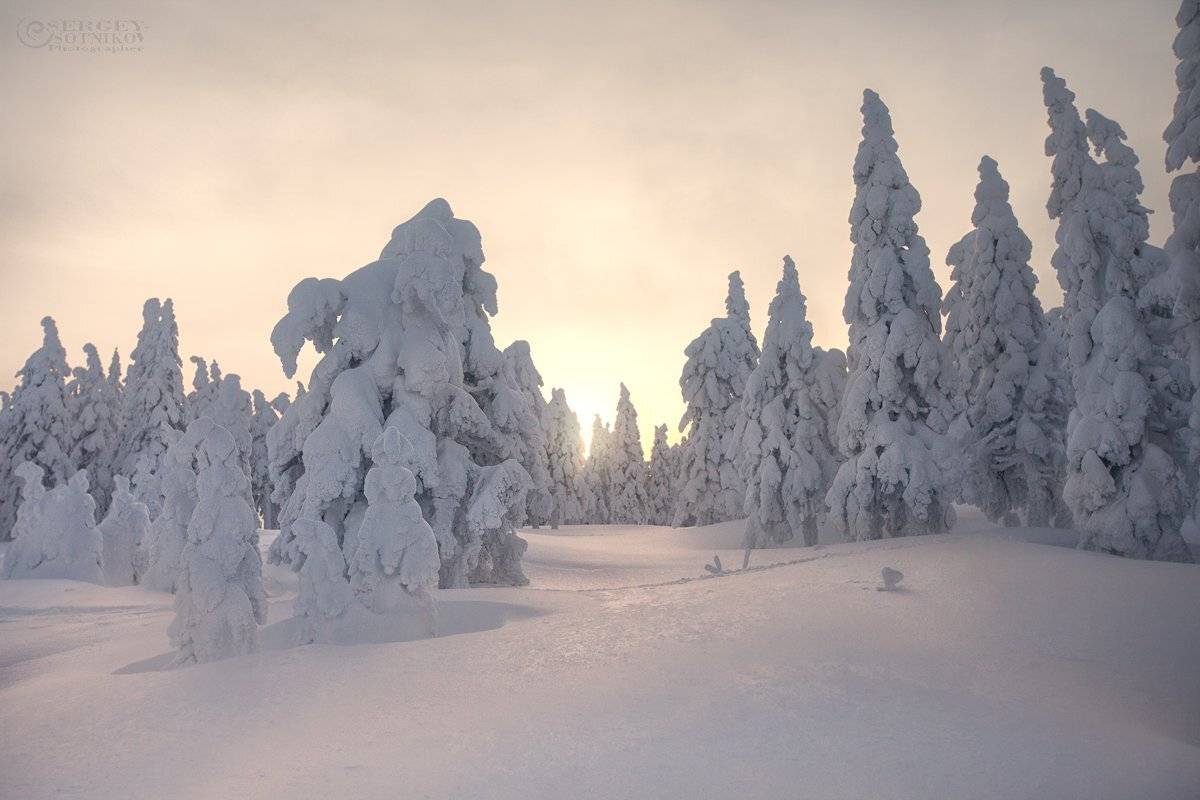 таганай зимний таганай ели снег, Сергей Сотников
