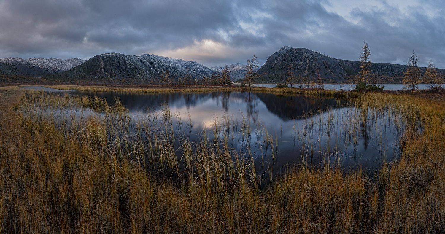 , Дмитрий Титов