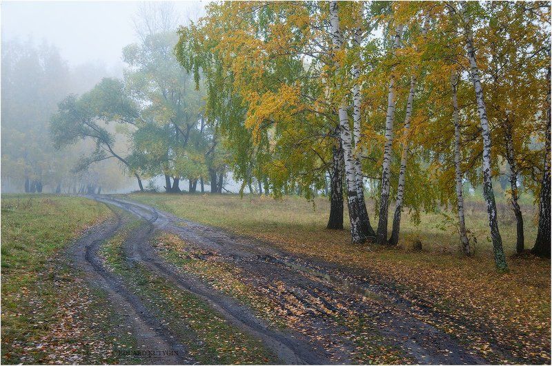 ... фото превью