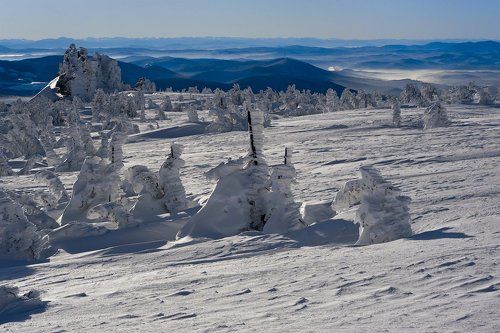 Pro морозные дали