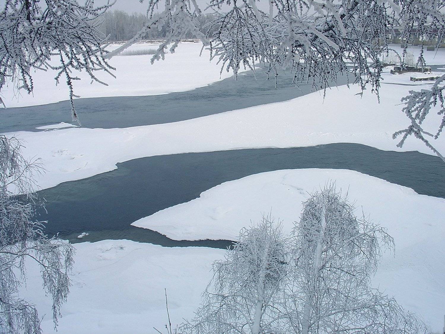 , Николай Морский