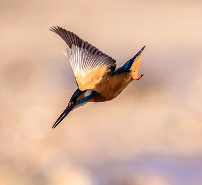 attack фото превью