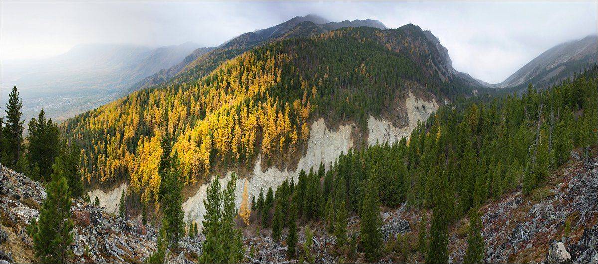 , Кроль-Илюков Илья