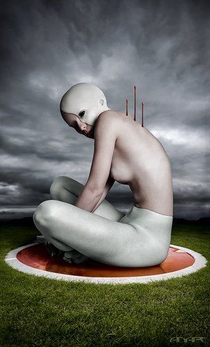 Purification