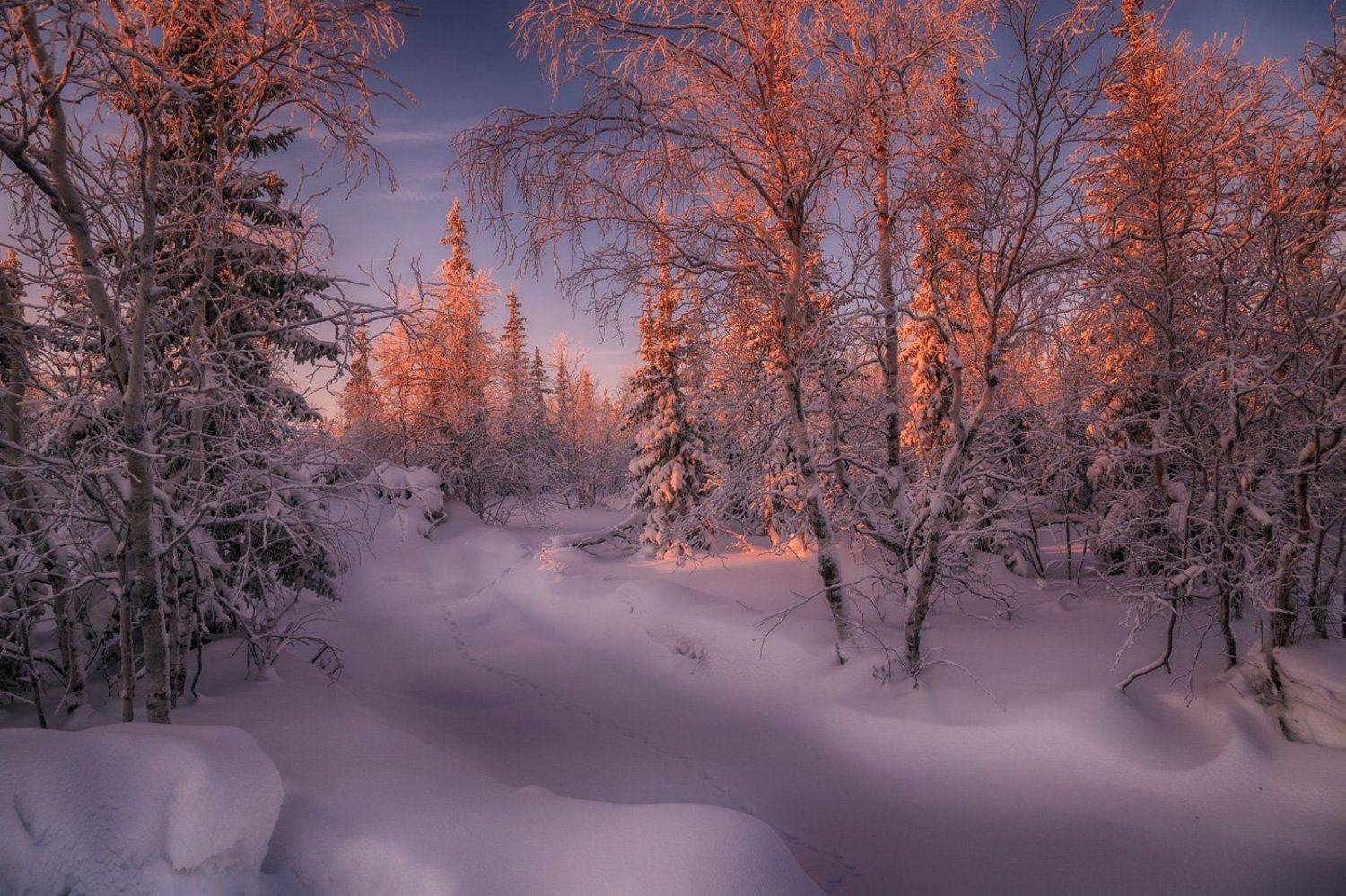 , Евгений Кужилев