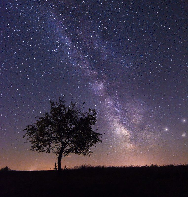 milkyway tree, night, sky, noperson, land, bulgaria, nikon , majestic , beautiful, rgsphot, tokina September Night фото превью