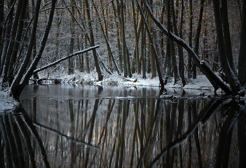 ...  фото превью