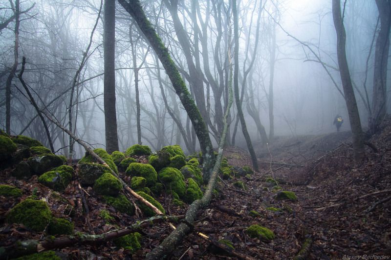 Старой дорогой фото превью