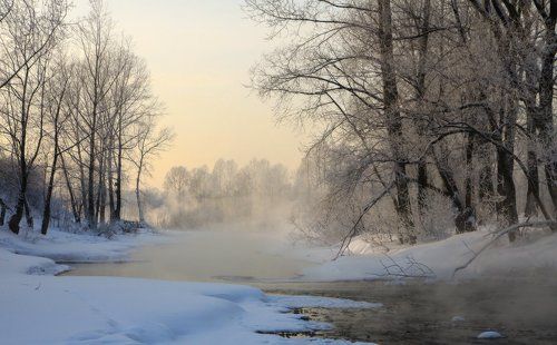 В морозном тумане